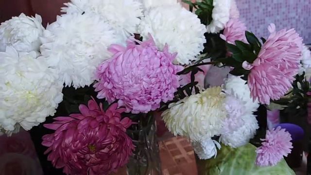 Мои новые розы сорт Ревебаль и Гейша (жёлт) смотреть онлайн