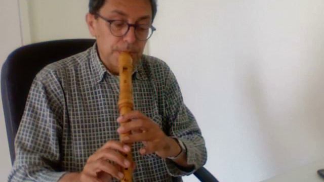 J. S. Bach, Sarabande BWV 1007 et son double, for alto recorder смотреть онлайн