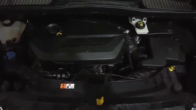 FORD C MAX 1.6 ECOBOOST MOTOR LOVATO EXR DİREKT ENJEKSİYONU SİSTEM MONTAJI смотреть онлайн