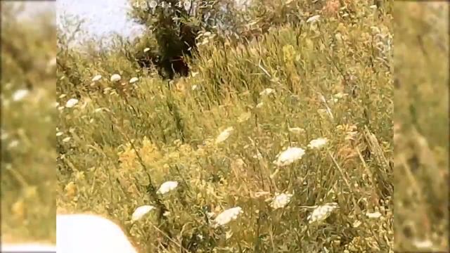 река сундук оренбурская область посёлок майский смотреть онлайн