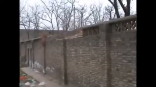 мықты ит смотреть онлайн