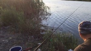 Рыбалка на р.Маныч. Отдохнули всей семьей)))))