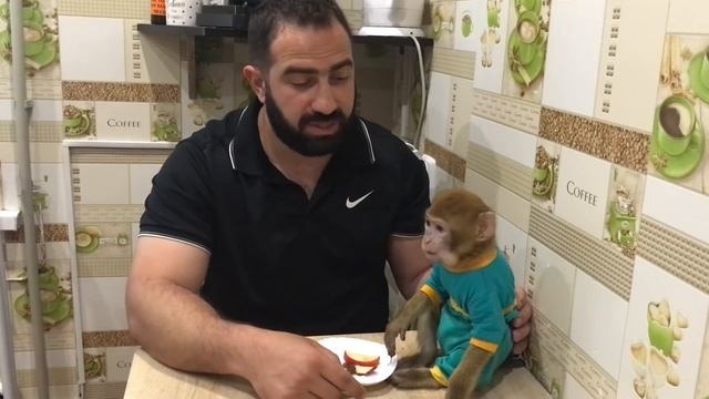 Я решил вам РАССКАЗАТЬ ВСЮ ПРАВДУ!!! Обезьяна Марта смотреть онлайн