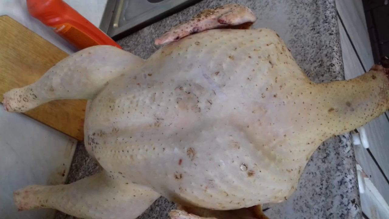 ИНКУБАЦИОННОЕ ЯЙЦО индейки Хайбрит Конвертер | Благодарность от моих заказчиков смотреть онлайн