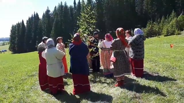 Русская хороводно-игровая песня «Александровская берёза» смотреть онлайн