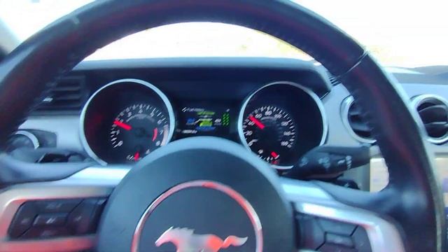 Ford Mustang 2023 rental at my Budget/Avis work. смотреть онлайн