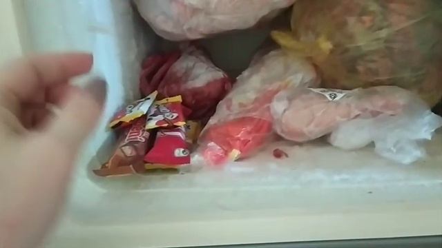 Как прожить на маленькую зарплату?/Кто зарабатывает в нашей семье?/Чем я купаю и обрабатываю кошек? смотреть онлайн