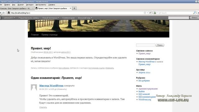 Знакомимся с панелью управления и структурой блога смотреть онлайн