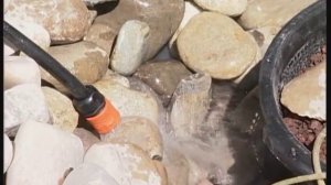 Создаем пруд на даче своими руками