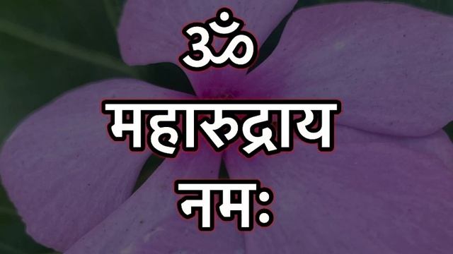 Powerful Lord Shiva mantra | OM Maha Rudraya Namah | ॐ महारुद्राय नमः || Divine Meditation || смотреть онлайн