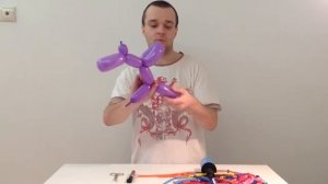 Как сделать собачку из шариков для моделирования (ШДМ)