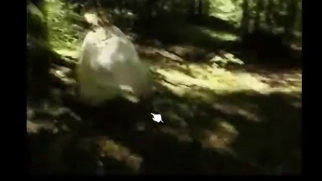 FMV Theater - A Fork in the Tale (Part 4) смотреть онлайн