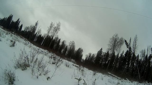 медведь шатун 2017 дубль1, Паха повредил ногу смотреть онлайн