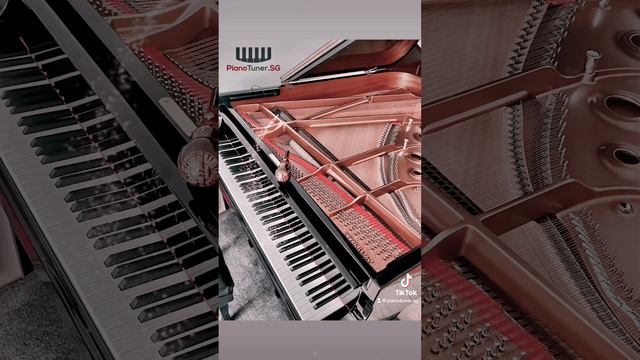 Pitch Raise Precision Fine Tuning of a Steinway Model A Grand Piano. #piano #music #pianotuning смотреть онлайн