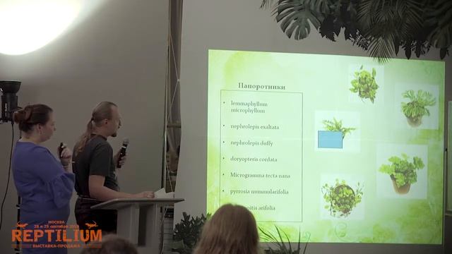 Растения для тропического террариума с водоемом и без смотреть онлайн