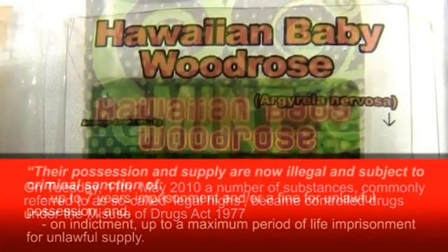 'Head Shop' Drugs смотреть онлайн