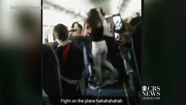 Spirit Airlines passengers brawl on flight смотреть онлайн