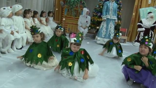 Новый год 2017г. в садике Леры