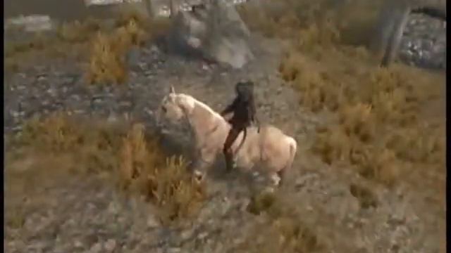SKYRIM LOLZ: episode 1: UNICORN AND STUPID PEOPLE смотреть онлайн