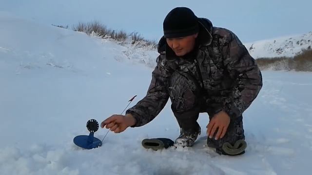 Ловля щуки на жерлицы. Попал на клёв живца.Клюёт один за одним!!! смотреть онлайн