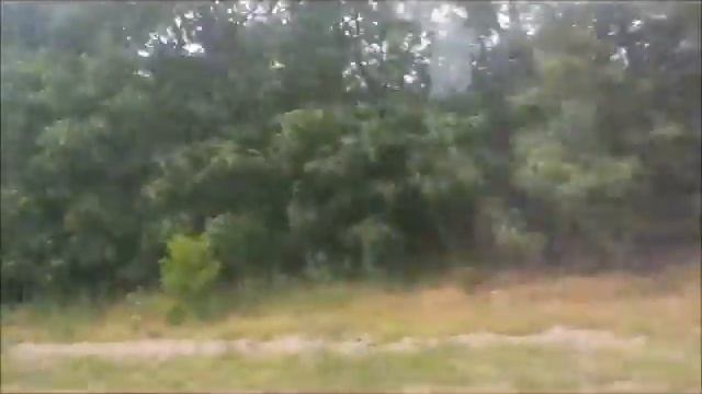 Оля. Жлобин .Едем домой .фото. смотреть онлайн