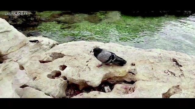 Как сделать Канат | Плетение Каната | Как заплести Канат | How to Make a Rope #канат #плетение смотреть онлайн