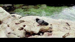 Как сделать Канат | Плетение Каната | Как заплести Канат | How to Make a Rope #канат #плетение
