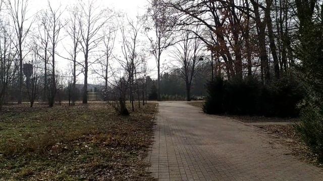 Типичная, южная зима в Краснодаре! #зима#Краснодар смотреть онлайн