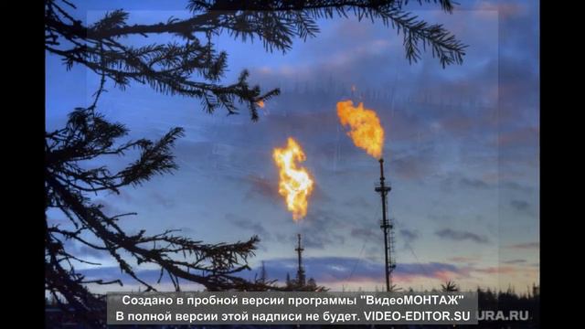 здравствуй вахта смотреть онлайн