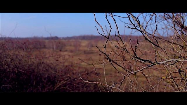 Canon 650d Video Test смотреть онлайн