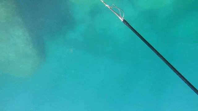 День окуня 2020! Ловим, готовим, едим... смотреть онлайн