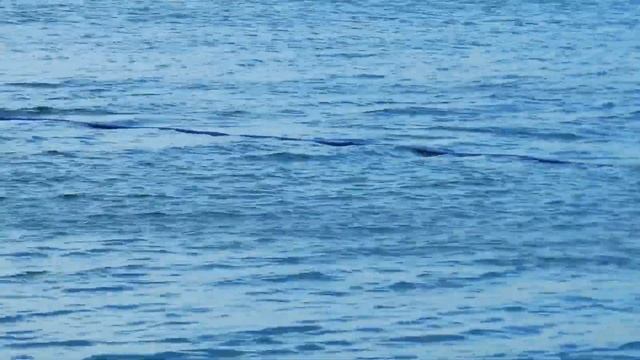 Z270 или Акваланг на батарейках (Z270 or Battery operated Scuba) смотреть онлайн