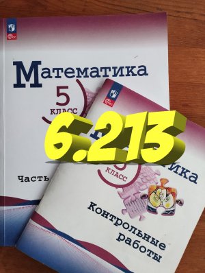 математика 5 класс номер 6.213