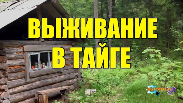 ВЫЖИВАНИЕ В ТАЙГЕ ЗА ЗОЛОТОМ ЖИЗНЬ В ТАЙГЕ смотреть онлайн