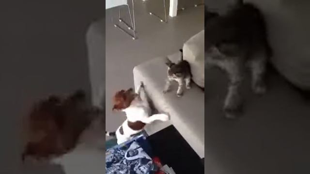 Valentina & Carlitos смотреть онлайн