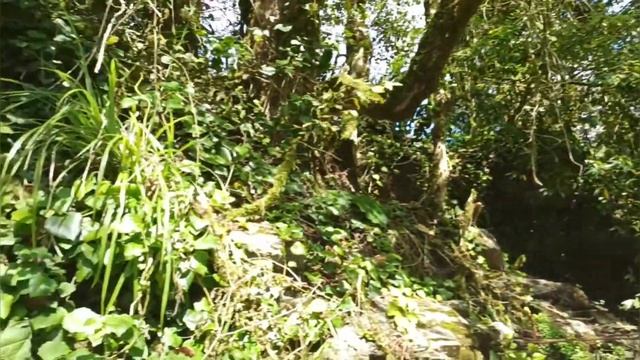 Дагомысские Корыта/Дагомыс/Достопримечательности Дагомыса