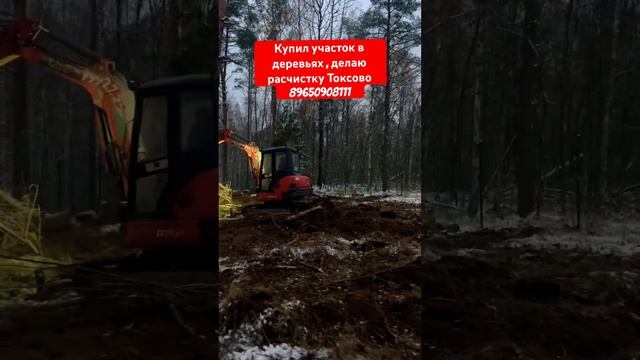 ЗАЧИСТКА УЧАСТКА ОТ КУСТАРНИКА . СПИЛ ДЕРЕВА #стройка #дача #спб #участок #экскаватор #строительств смотреть онлайн