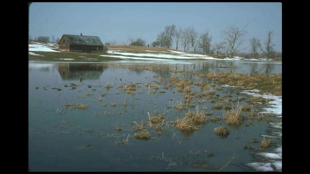 уж тает снег..Плещеев А.Н. смотреть онлайн