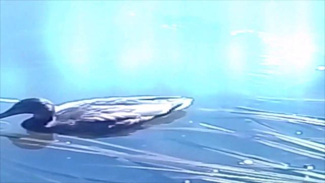музыка уходящего лета.(video music official) смотреть онлайн