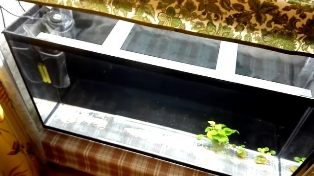 стеллаж под аквариумы смотреть онлайн