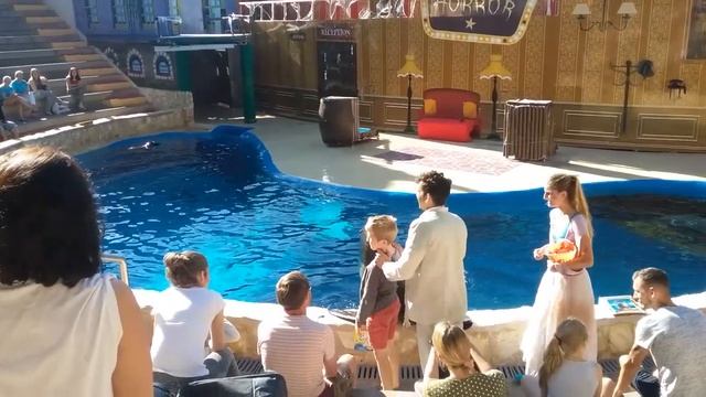 Шоу морских котиков в Бенидорм ,Мундомар смотреть онлайн