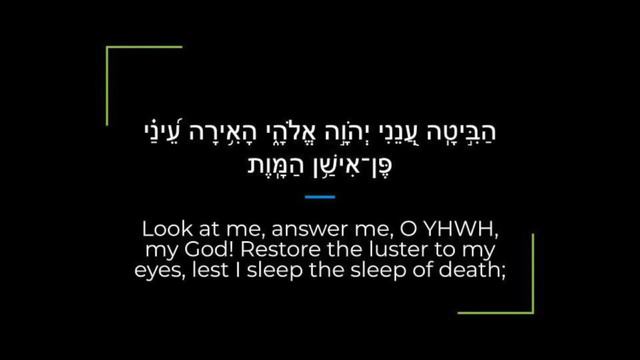 Psalm 13 Zabur/Tehillim Sephardi Hebrew Canting/Recitation with English смотреть онлайн