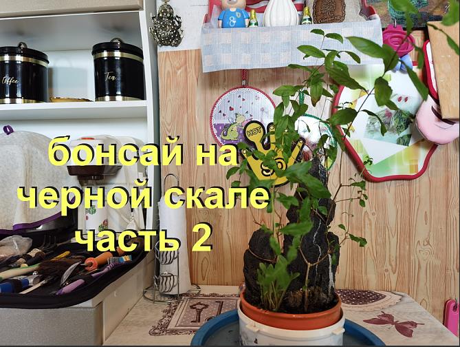 2.Бонсай на черной скале из граната часть 2 обрезка.