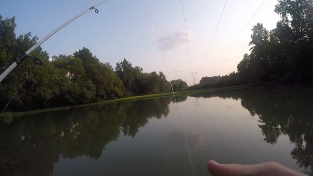 How To Catch Catfish From The Bank | Catfishing Bait, Rigs, & Tips!