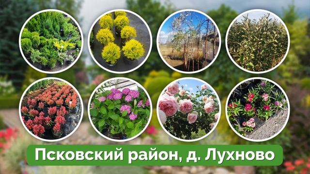 САДОВЫЙ ЦЕНТР - НОВАЯ ЭРА смотреть онлайн