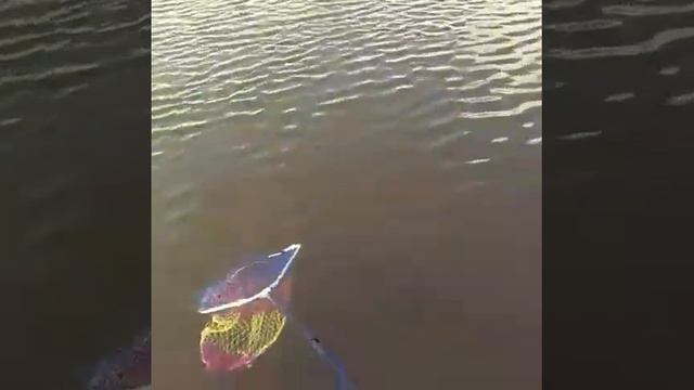 Рыбалка у нас всегда в приоритете))) смотреть онлайн
