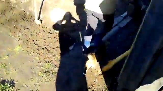 Домашняя кошка поймала крысу смотреть онлайн