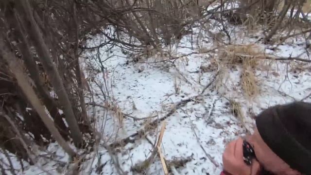 Моя самая лучшая охота на кабана!