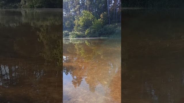 КАКОЕ ПРЕИМУЩЕСТВО НАМ ДАЕТ РАБОТАТЬ НА ОРГАНИЧЕСКОМ НАПРАВЛЕНИЕ ДЛЯ ЗЕМЛИ смотреть онлайн