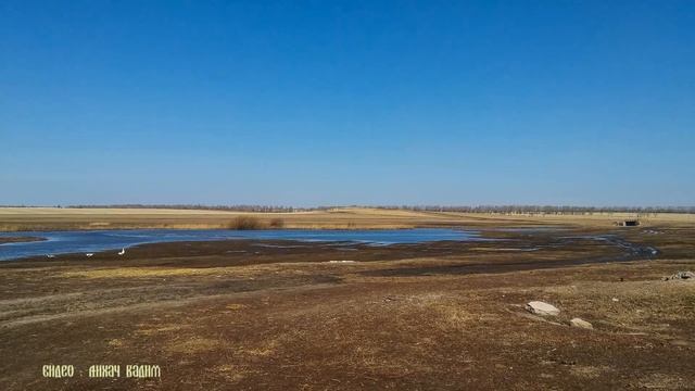 Зерендинский район, село Троицкое, Акмолинская область, Казахстан смотреть онлайн